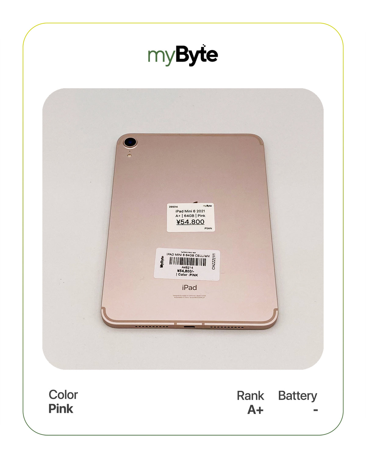 iPad Mini 6th Gen 2021 64GB (Wi-Fi+Cellular) myByte International